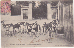 79 - BEAUVOIR-SUR-NIORT - Chenil Du Rallye Chizé (Chiens, Chasse à Cour) - 1905 - Beauvoir Sur Niort