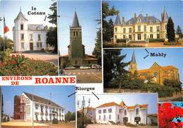 42-ENVIRONS DE ROANNE- MULTIVUES - Roanne