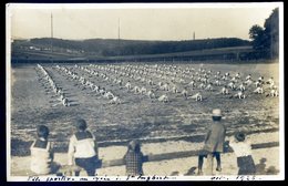 Cpa Carte Photo Allemagne Sarre Fête Sportive Au Lycée à Saint Ingbert En Octobre 1926   ACH14 - Saarpfalz-Kreis