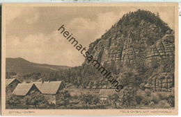 Zittau-Oybin - Fels Oybin Mit Hochwald 30er Jahre - Zittau