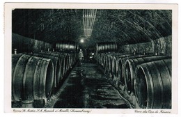 Caves St Martin, S.A. Remich S Moselle, Luxembourg, Caves Des Vins De Réserve (pk55841) - Remich