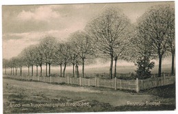 Wesel, Gruss Vom Truppenübungsplatz Friedrichsfeld, Franzosen Friedhof (pk55858) - Wesel