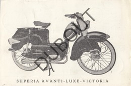 Postkaart/Carte Postale ZEDELGEM Superia Werkhuizen Remi Claeys Avanti-Luxe-Victoria Motorfiets ±1960 (O449) - Zedelgem