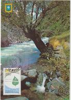 Carte-Maximum ANDORRE Fse N° Yvert 454 (NATURE) Obl Sp La Massana - Maximum Cards