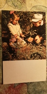 CHILDREN - Mushroomers -  Champignon - OLD Postcard - MUSHROOM 1969 - Pilze