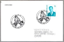 LÚGANO - TARIN DES AULNES - SISKIN - Carduelis Spinus. Roeselare 1996 - Mechanical Postmarks (Advertisement)