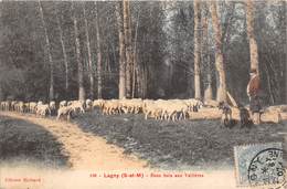 77-LAGNY-SOUS BOIS AUX VALLIERES - Lagny Sur Marne
