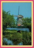 Nederland - Molen Te Kinderdijk - Moulin à Vent - Molen - 1998 - Foto JAN SLEURINK - Kinderdijk