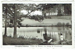 Champlon Ardennes. Vallée Du Bronze. Les étangs De Grinchamps. - Tenneville