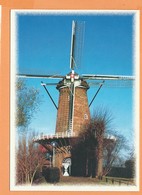 CPM - Goes - Molen :de Koornbloem  -(  Moulin ) - Goes