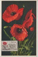 Israel Carte Maximum Fleurs 1952 Coquelicots 56 - Tarjetas – Máxima