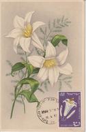 Israel Carte Maximum Fleurs 1952 Rose De Sharon 59 - Tarjetas – Máxima