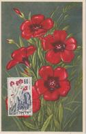 Israel Carte Maximum Fleurs 1954 Lin Rouge 76 - Cartoline Maximum