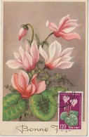 Israel Carte Maximum Fleurs 1959 Cyclamens 153 - Maximumkaarten