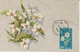 Israel Carte Maximum Fleurs 1959 Narcisses 154 - Cartoline Maximum