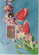 Israel Carte Maximum Fleurs 1963 Tulipe De Sharon 236 - Maximum Cards