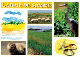 LA BAIE DE SOMME - Other Municipalities
