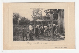 PAYSAGE DE FRANCE - FERRAGE DES BOEUFS DE TRAIT - Allevamenti