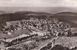 HAHNENKLEE (dil399) - Oberharz