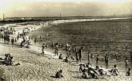 83....var....hyeres Les Palmiers......plage De L Almanarre...cpsm - Hyeres