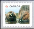 Canada - Castors ** - Roulette Horizontale - 2014 - Coil Stamps