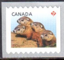 Canada - Bébés Animaux 2013 - Timbre De Roulette Horizontale ** - Coil Stamps