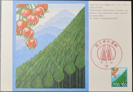 JAPAN 1980 Mi-Nr. 1428 Maximumkarte MK/MC No. 387 - Maximum Cards