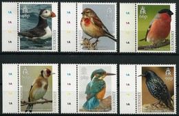 GUERNSEY - EUROPA 2019 - NATIONAL BIRDS & SYMBOLISH.- "AVES - BIRDS - VÖGEL - OISEAUX"- SERIE COMPLETA De 6 V. - 2019
