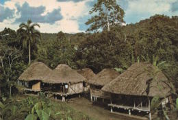 Equateur -Amazonia Ecuatoriana- - Cpsm-  Foto Roman-  -recto Verso - Paypal Sans Frais - Equateur