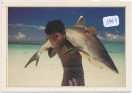 CPM GF-19464-Maldives - Jeune Portant Un Requin Blanc-Envoi Gratuit - Maldivas