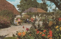 1960s To 1980s SUSSEX POSTCARDS /  OLD COTTAGE AND TEA ROOMS - DRUSILLAS , NEAR ALFRISTON - Andere