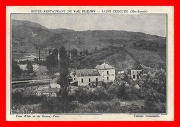 CPA (74) SAINT-CERGUES.   Hôtel-Restaurant Du Val Fleury...*691 - Saint-Cergues