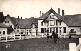 61-LE-MERLERAULT- HARAS DE LA BEAUVAISINIERE ET PARC A CHEVAUX - Le Merlerault