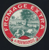 Ancienne Etiquette Fromage  Extra De Normandie  "vaches" - Cheese