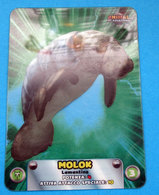 ANIMAL GLADIATORS MOLOK LAMINCARDS EDIBAS - Autres & Non Classés