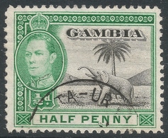 Gambia. 1938-46 KGVI. ½d Used. SG 150 - Gambia (...-1964)