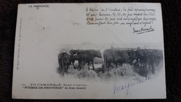 CPA TAUREAUX LA PROVENCE EN CAMARGUE JEAN AICARD POEME MANADE 1902 - Bull