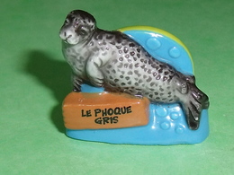 Fèves / Animaux : Nord Pas De Calais , Le Phoque Gris    T62 - Animaux