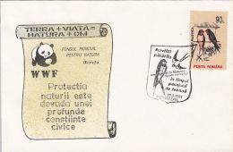 BIRDS, SWALLOWS, WWF, SPECIAL COVER, 1993, ROMANIA - Zwaluwen