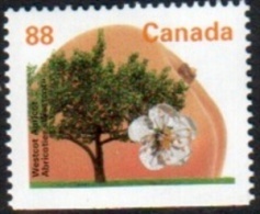 Canada - Westcot Apricot Abricotier 88c ** - Einzelmarken