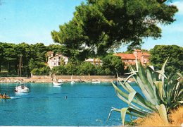 BELLISSIMA CARTOLINA  MALI LOSINJ  E654 - Groenland