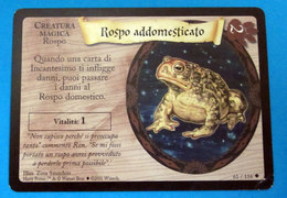 HARRY POTTER ROSPO ADDOMESTICATO CARD WIZARDS 2001 - Harry Potter