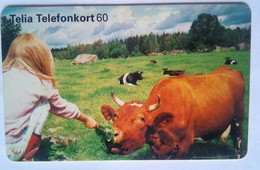 Cow  60  Units - Schweden