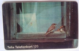 Birds At Window 120 Units - Schweden