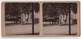 Photo Stereo Originale Photographe De Roanne Gare De L'Hôpital Sur Rhins Reins Diligence - Stereoscoop