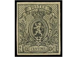 * BELGICA. Yv.22. 1866-67.  1 Cto.  Grey Imperforate, Original Gum. Very Fine. Yvert.300€. - Autres & Non Classés