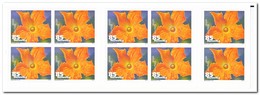 Zwitserland 2011, Postfris MNH, Vegetables ( Booklet ) - Markenheftchen