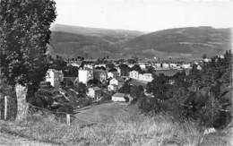 48-LANGOGNE- VUE DE LA ROUTE DE MENDE - Langogne