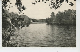 SAINT MATHIEU - L'Etang De FAYEMENDI - Saint Mathieu