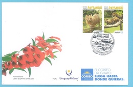 2019 WILD CAT FAUNA ANIMAL GATO MONTES SALVAJE MONTE  URUGUAY TOURISTIC SET FOREST COATI FDC COVER REMO CANOE ROWING - Kanu